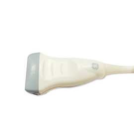 GE 12L-RS Linear Array Probe Ultrasound Pediatric Peripheral Vascular Transducer supplier