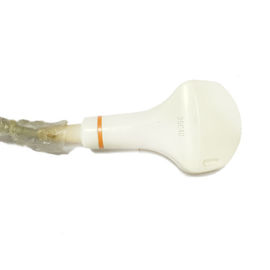 SIEMENS 3.5C40 Convex Array Probe Ultrasound Abdominal Transducer supplier