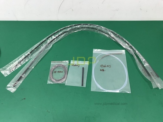 Light bundle for GIF-XP260NS Gastroscope